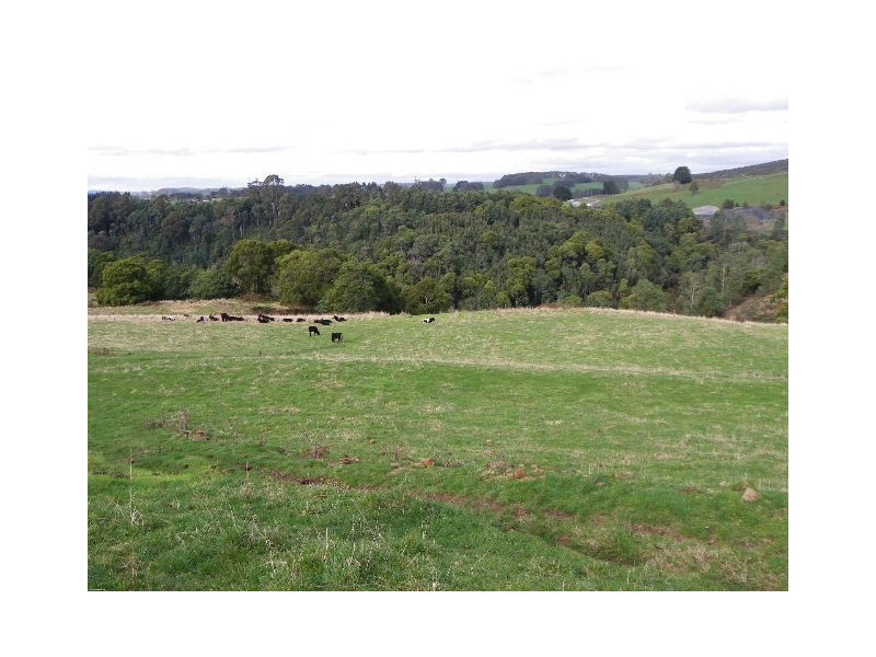 293 Metaira Road, Ridgley TAS 7321