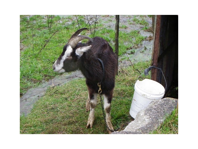 293 Metaira Road, Ridgley TAS 7321