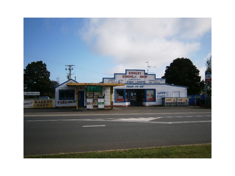 914 Ridgley Highway, Ridgley TAS 7321