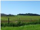237 Tollymore Road, Table Cape TAS 7325