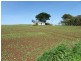 237 Tollymore Road, Table Cape TAS 7325
