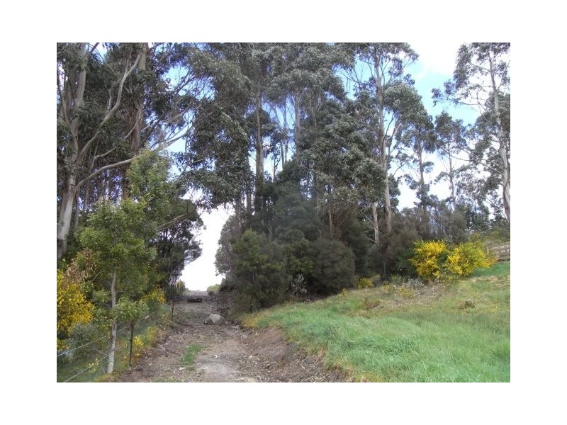 Lot 12 Counsel Street, Zeehan TAS 7469