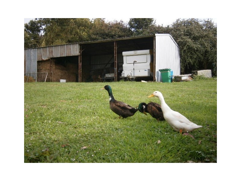 1091 Murchison Highway, Elliott TAS 7325