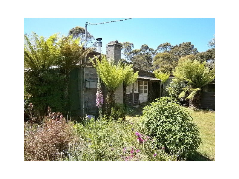 111 Coopers Lane, Wynyard TAS 7325
