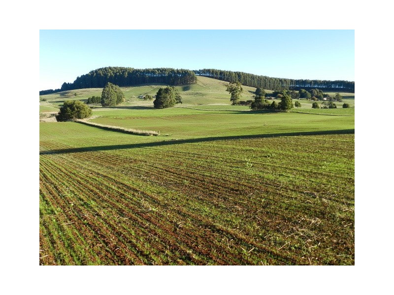 10 Wyllies Road, Riana TAS 7316