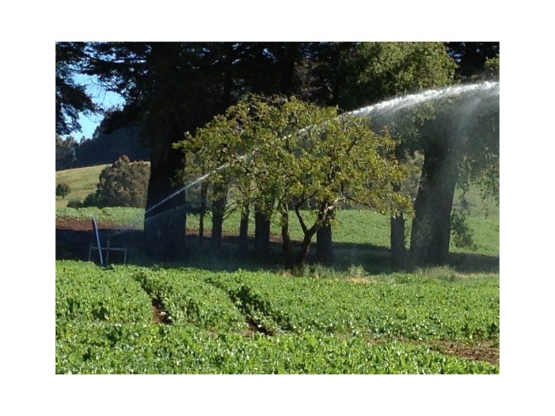 10 Wyllies Road, Riana TAS 7316