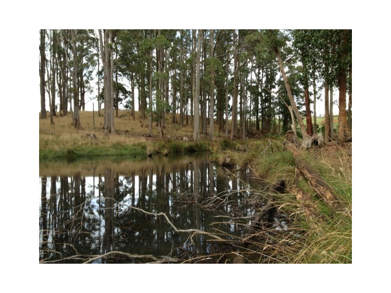 10 Wyllies Road, Riana TAS 7316