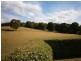 51 Blackwell Road, Oonah TAS 7325