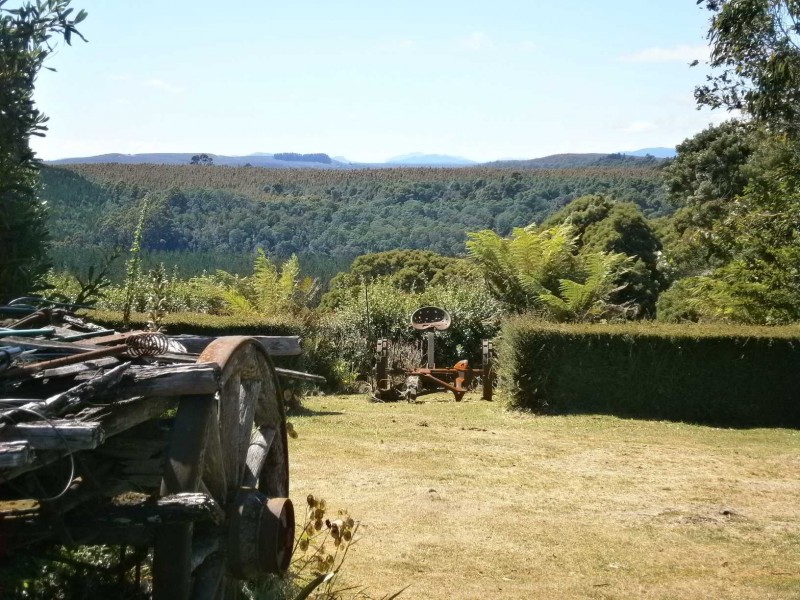 51 Blackwell Road, Oonah TAS 7325