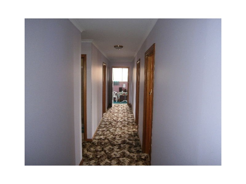 1171 Ridgley Highway, Ridgley TAS 7321