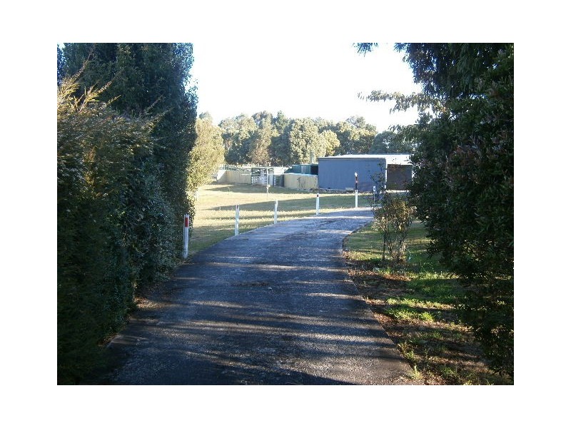 1171 Ridgley Highway, Ridgley TAS 7321