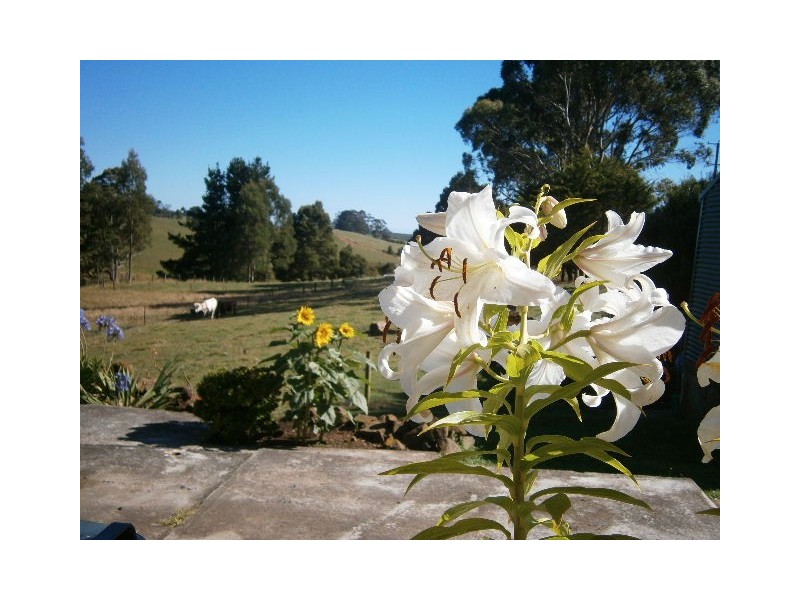 1592 Mount Hicks Road, Yolla TAS 7325