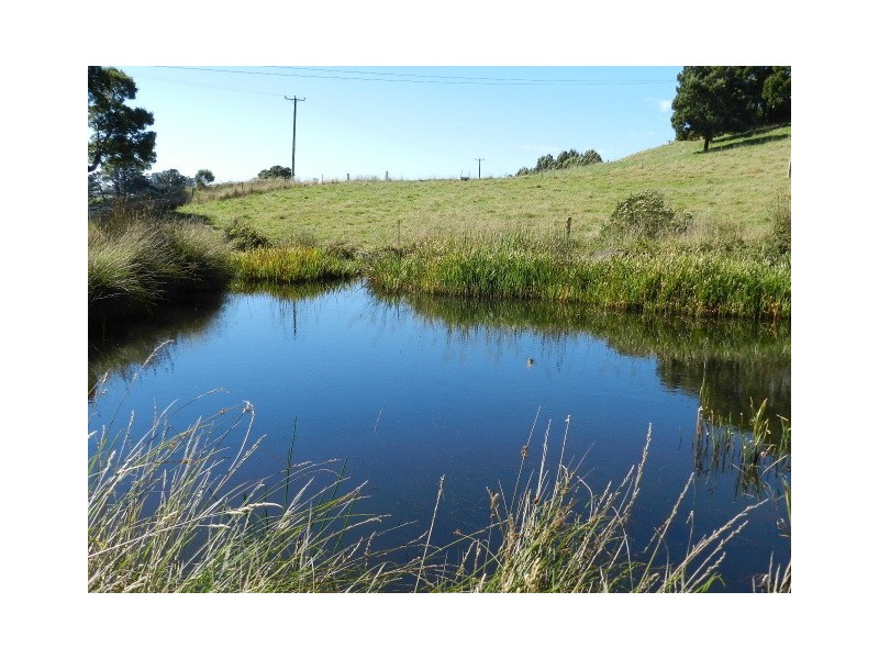 99 Loyetea Road, South Riana TAS 7316