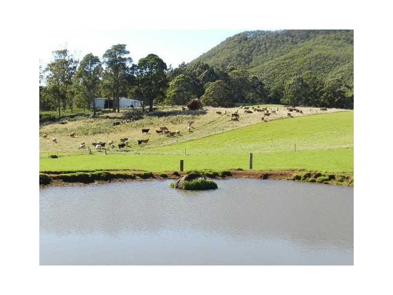 1087 Pine Road, Penguin TAS 7316