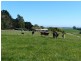 1087 Pine Road, Penguin TAS 7316