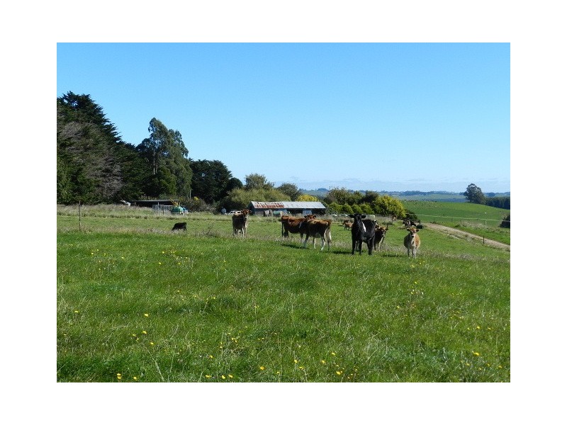 1087 Pine Road, Penguin TAS 7316