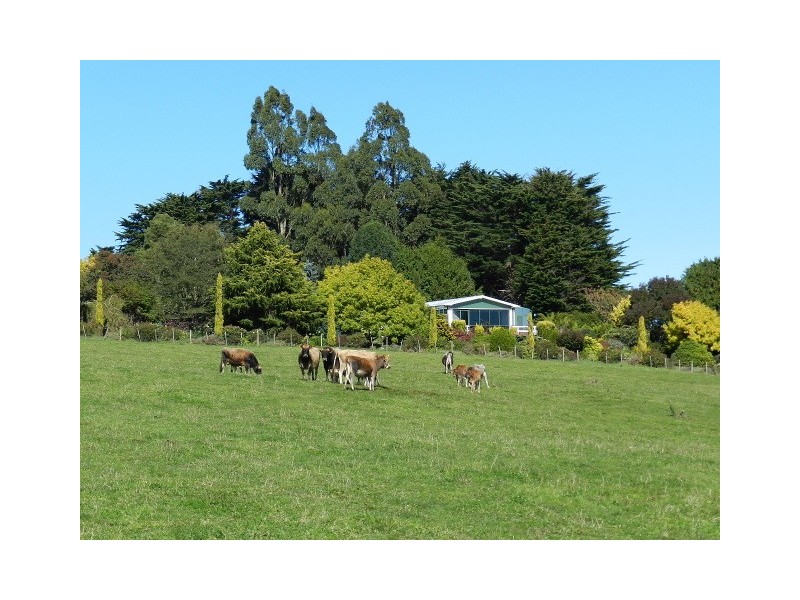 1087 Pine Road, Penguin TAS 7316