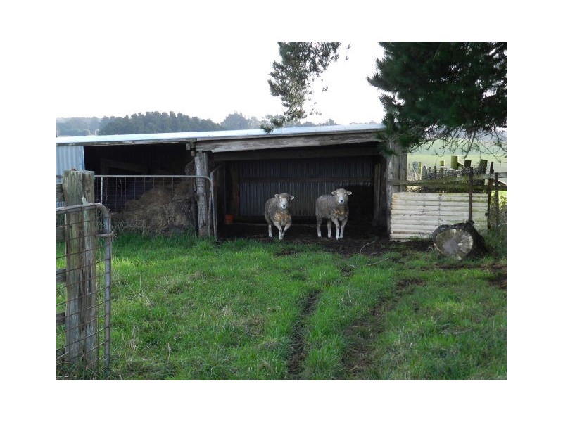 688 Ridgley Highway, Ridgley TAS 7321