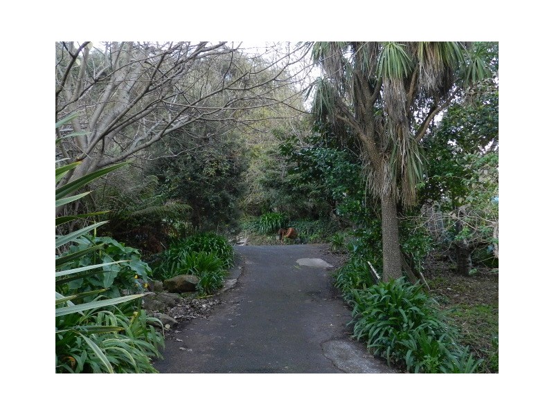 6 Cooper Street, Burnie TAS 7320