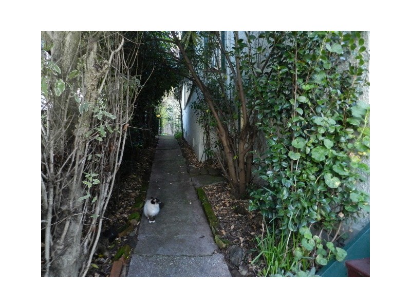 6 Cooper Street, Burnie TAS 7320