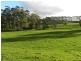949 Ridgley Highway, Ridgley TAS 7321