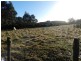 2490 Ridgley Highway, Hampshire TAS 7321