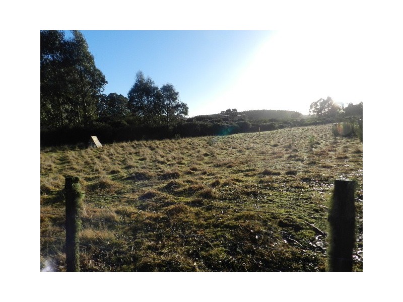 2490 Ridgley Highway, Hampshire TAS 7321