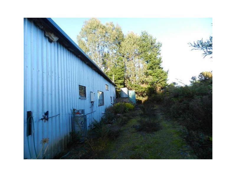 2490 Ridgley Highway, Hampshire TAS 7321