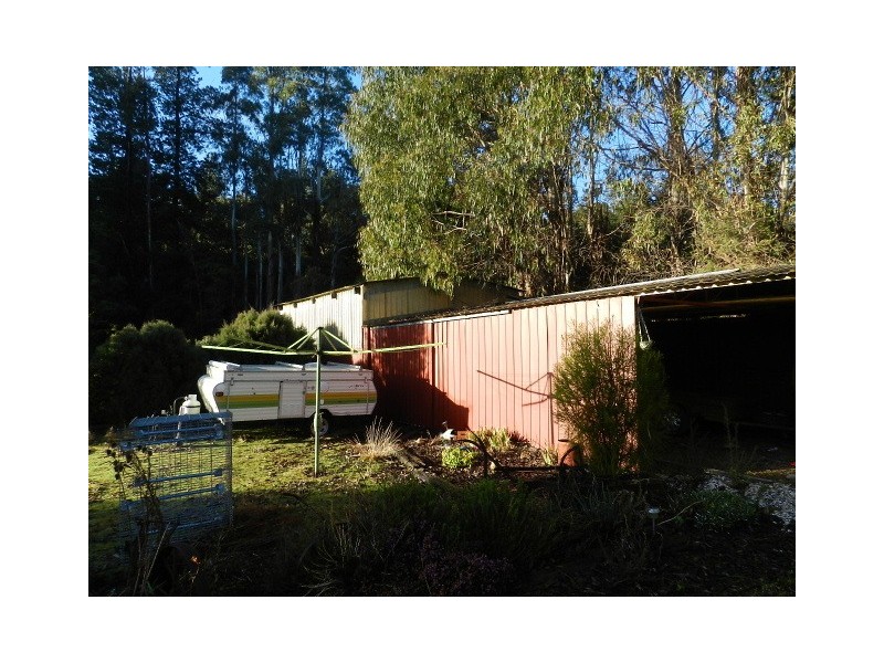 2490 Ridgley Highway, Hampshire TAS 7321