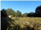 2490 Ridgley Highway, Hampshire TAS 7321