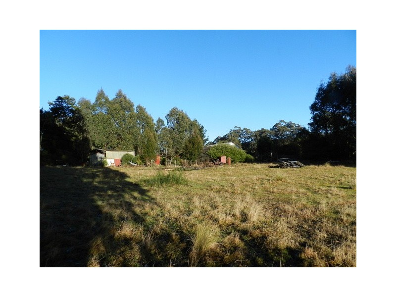 2490 Ridgley Highway, Hampshire TAS 7321