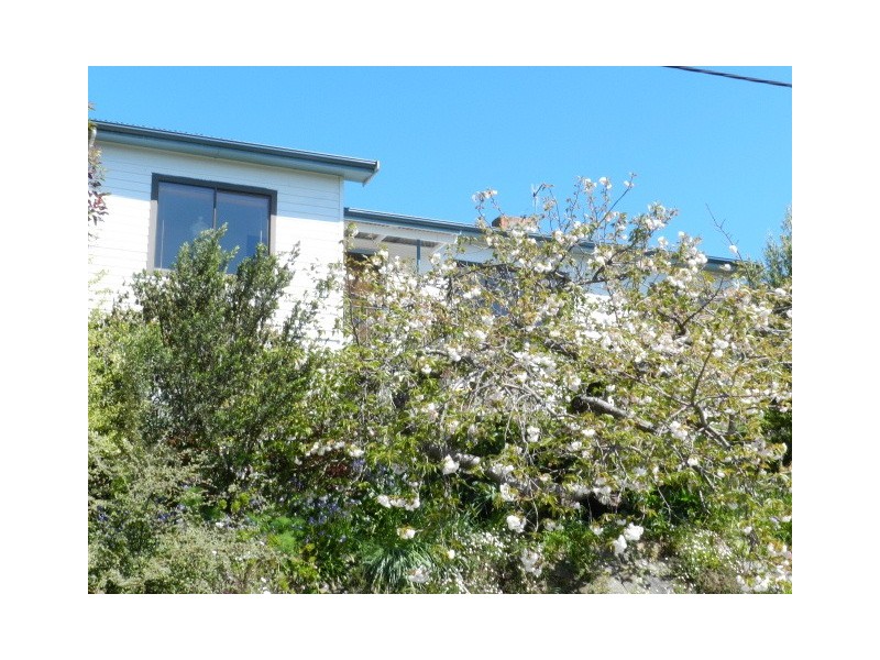6 Wattle Avenue, Burnie TAS 7320
