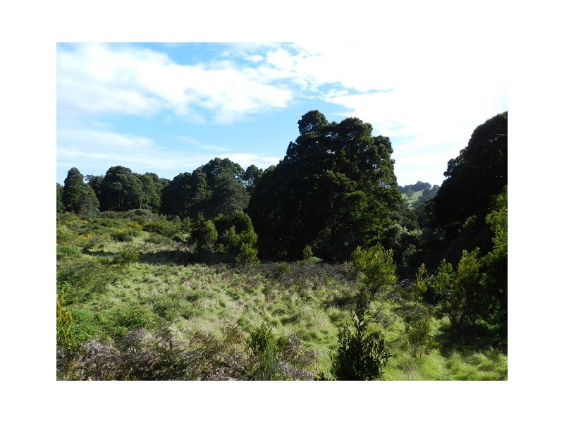 0 St Marys Road, Tewkesbury TAS 7321