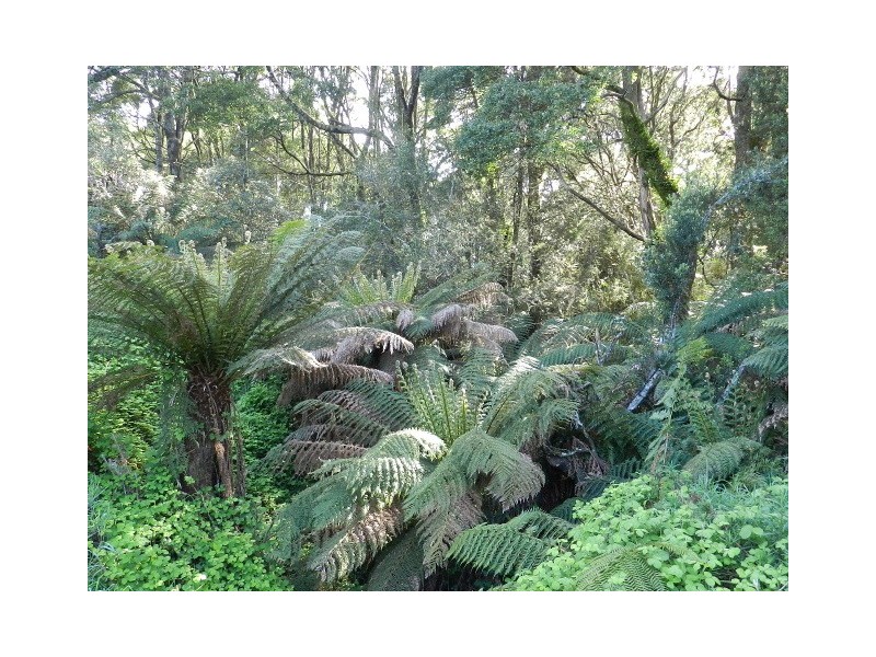 0 St Marys Road, Tewkesbury TAS 7321