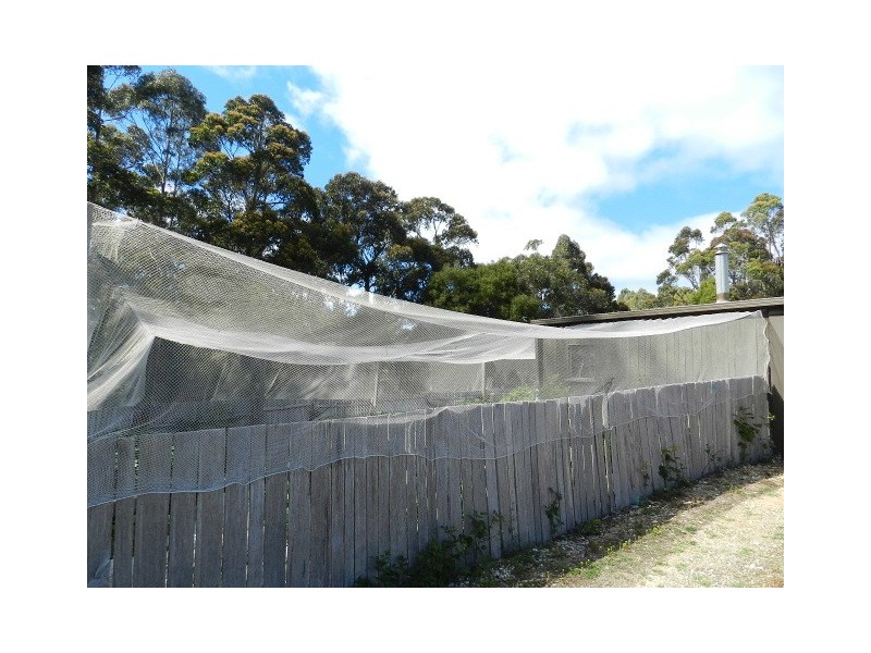 311 Back Cam Road, Somerset TAS 7322