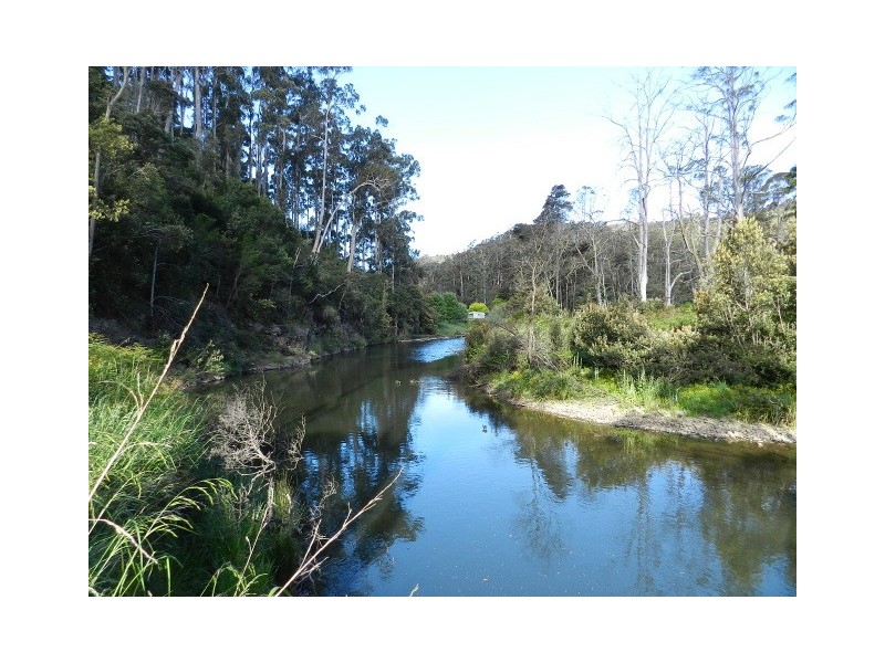 311 Back Cam Road, Somerset TAS 7322