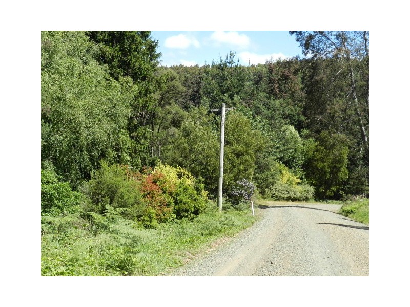 267 South EIliott Road, Elliott TAS 7325