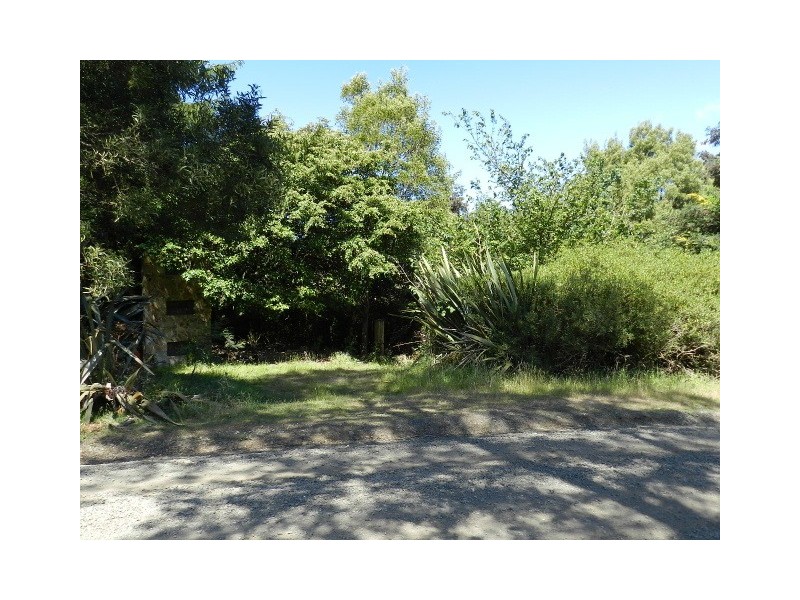 267 South EIliott Road, Elliott TAS 7325