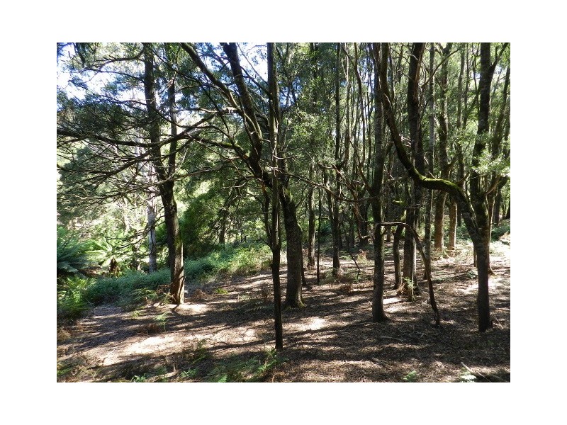 267 South EIliott Road, Elliott TAS 7325