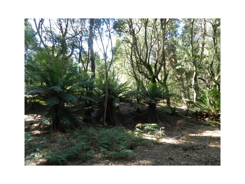 267 South EIliott Road, Elliott TAS 7325