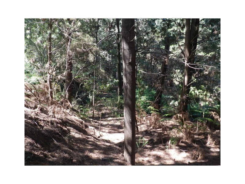 267 South EIliott Road, Elliott TAS 7325