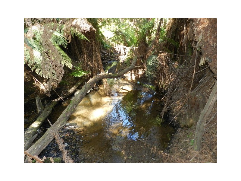 267 South EIliott Road, Elliott TAS 7325