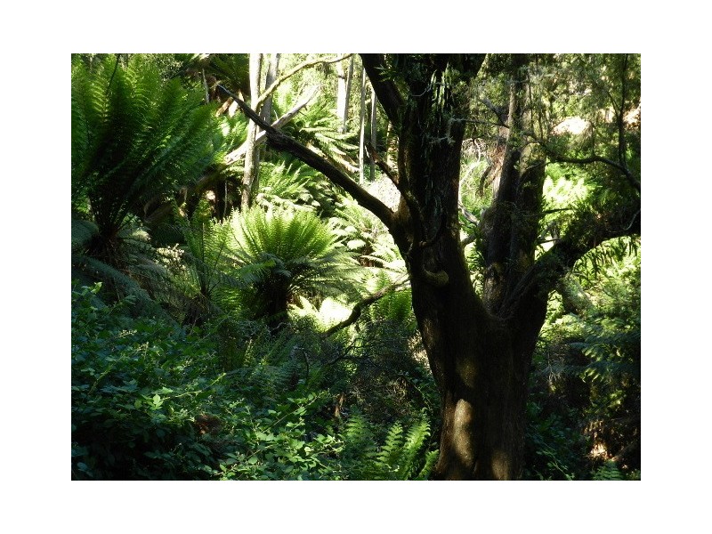 267 South EIliott Road, Elliott TAS 7325