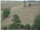 281 Camena Road, Natone TAS 7321