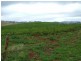 281 Camena Road, Natone TAS 7321
