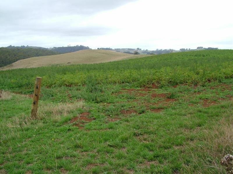 249 Camena Road, Natone TAS 7321