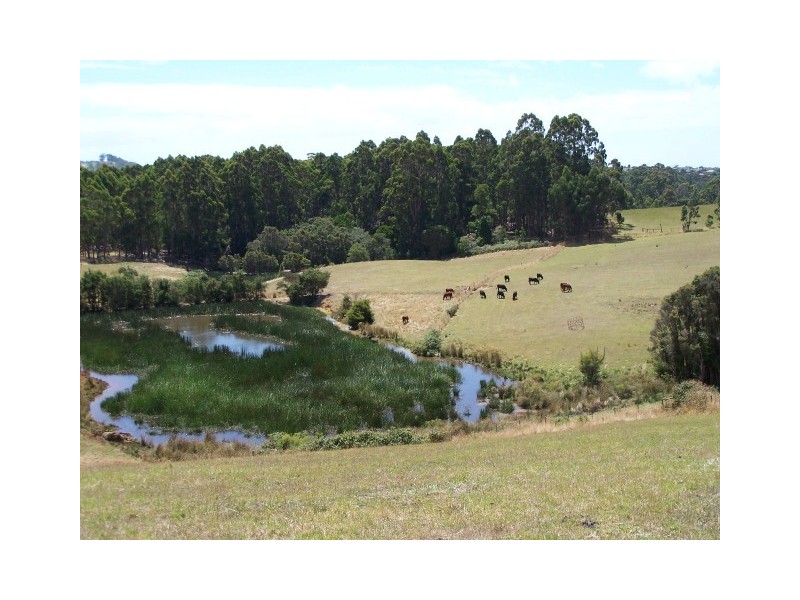 80 Reids Road, Somerset TAS 7322