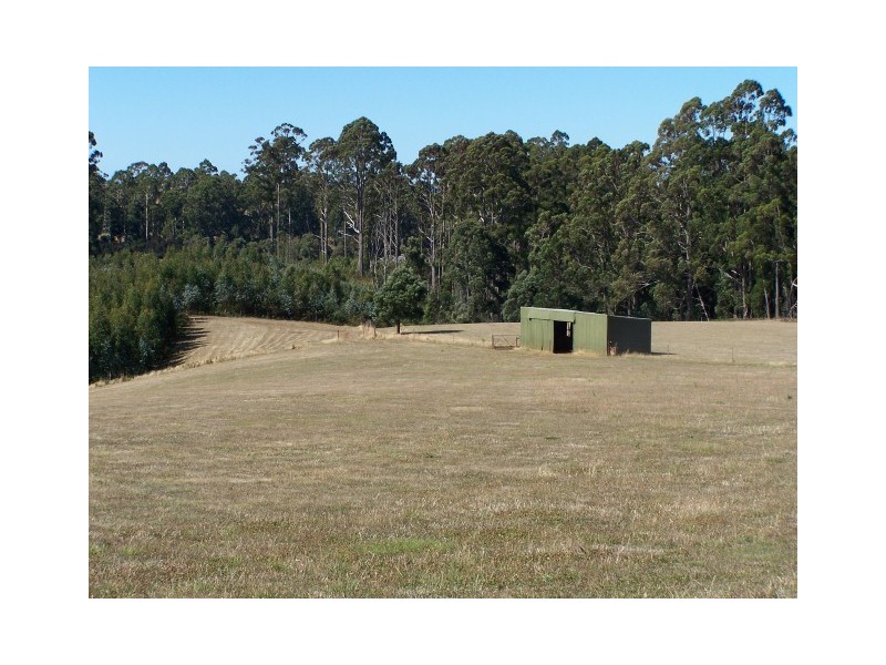 80 Reids Road, Somerset TAS 7322