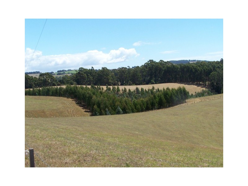 80 Reids Road, Somerset TAS 7322