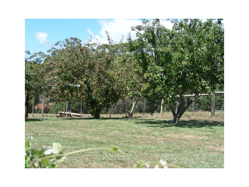 80 Reids Road, Somerset TAS 7322